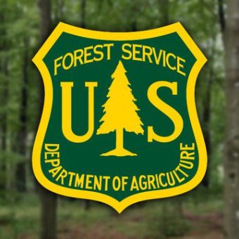 As Aridity Grips Southwest, New Mexico’s Forests Become Tinderboxes — Again