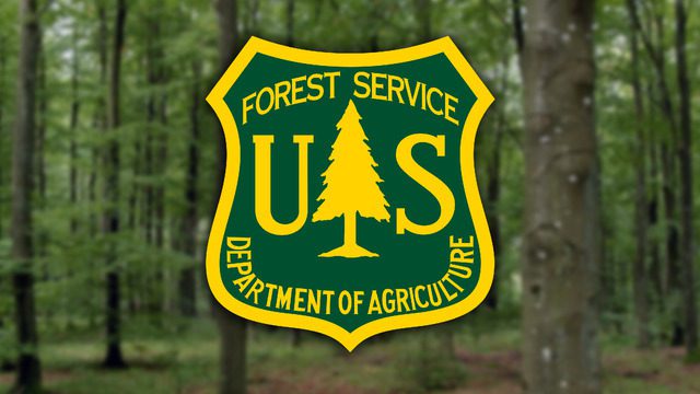 As Aridity Grips Southwest, New Mexico’s Forests Become Tinderboxes — Again