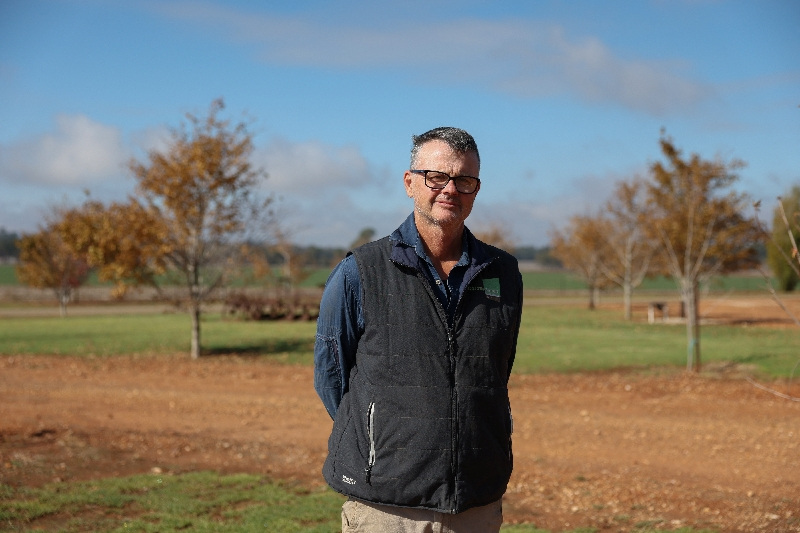 When Grain Runs Thin: Iran’s Ripples Reach Australia’s Fields