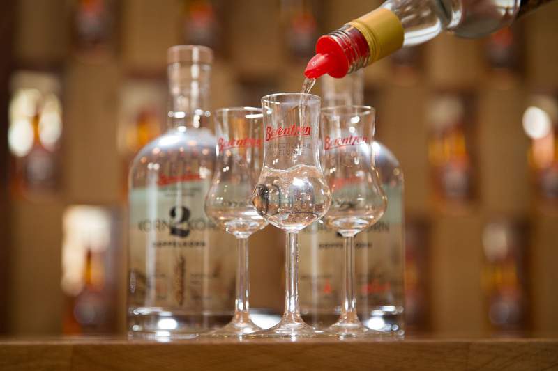 The Ghost in the Glass: Germany’s Bar Break-in Echoes a Continental Malaise