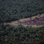 Greenwashing or Greenlight? Brazil Stalls Deforestation Loan Ban Amidst Amazon Crunch