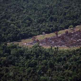 Greenwashing or Greenlight? Brazil Stalls Deforestation Loan Ban Amidst Amazon Crunch