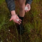 Ice From The Sky: Our Warmer World’s Billion-Dollar Hail Problem