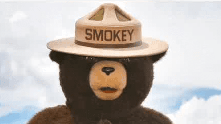 Smokey Bear’s Enduring Whisper: A Local Celebration Against a Global Inferno