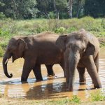 Thai Junta’s Unsmiling Welcome: Tourist Visas Get a Shorter Leash Thai Junta’s Unsmiling Welcome: Tourist Visas Get a Shorter Leash