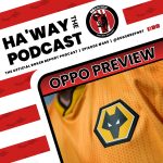 Wolverhampton’s Wobble: Premier League Ambition Collides with Economic Reality