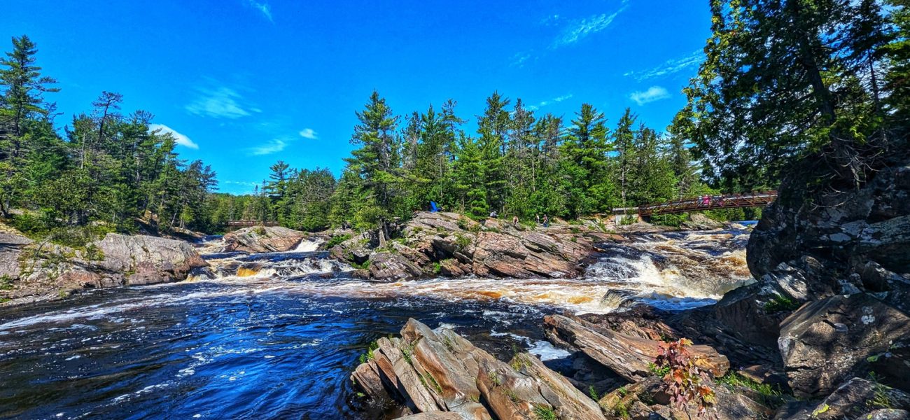 Ontario’s Verdant Crown Jewels: A Quiet Battleground for Policy, People, and Planet