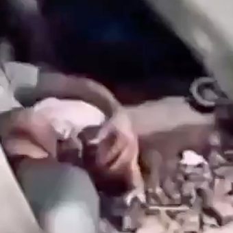 The Viral Abyss: One Father’s Desperate Act Ignites South Asia’s Safety Conundrum