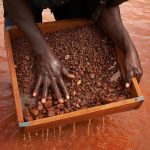 Luanda’s Long Play: Angola Bets on Raw Investment, Not Resource Nationalism