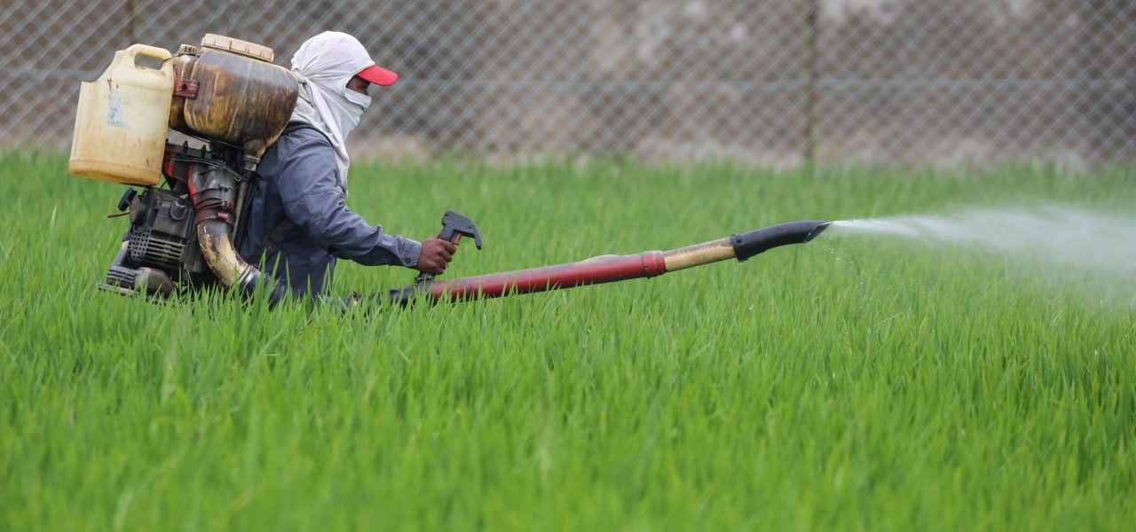 Shadow of Hormuz: Asia’s Breadbasket Braces for Invisible Economic War