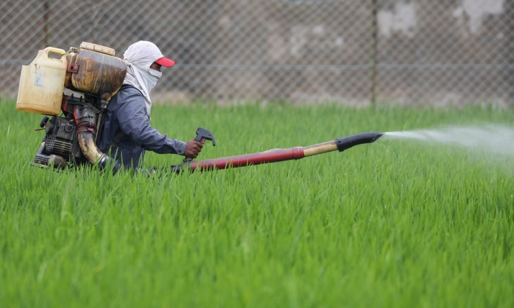 Asia’s Looming Hunger: Hormuz Crisis Threatens Billions with Food Insecurity