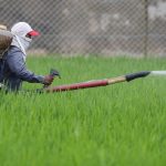 Asia’s Looming Hunger: Hormuz Crisis Threatens Billions with Food Insecurity