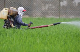 Asia’s Looming Hunger: Hormuz Crisis Threatens Billions with Food Insecurity
