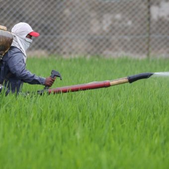 Asia’s Looming Hunger: Hormuz Crisis Threatens Billions with Food Insecurity