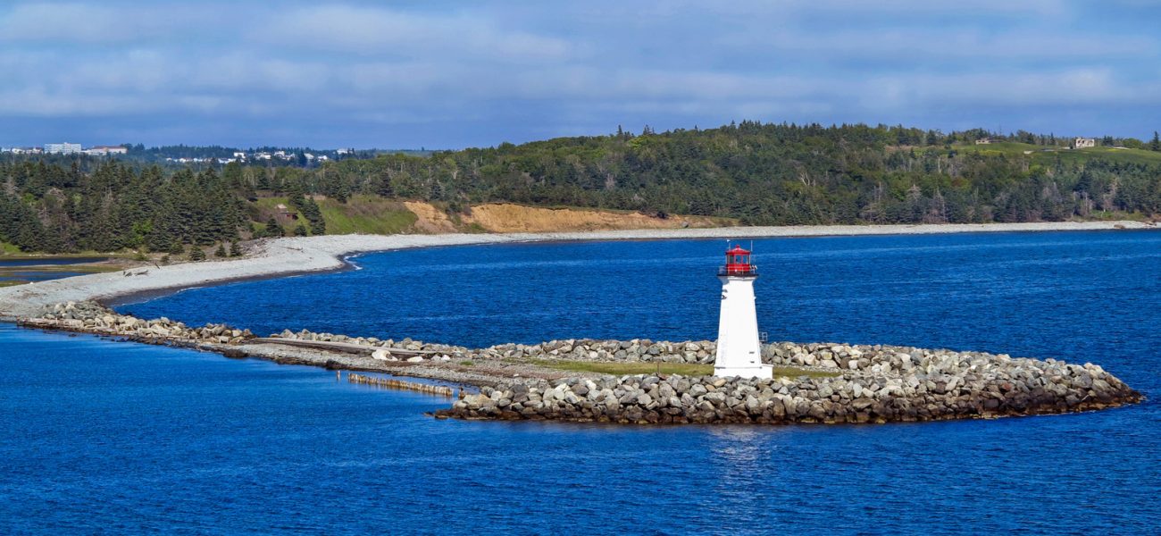 Canada’s Accidental Eden: A Policy Paradox Forged in Neglect