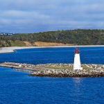 Canada’s Accidental Eden: A Policy Paradox Forged in Neglect