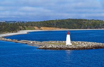 Canada’s Accidental Eden: A Policy Paradox Forged in Neglect