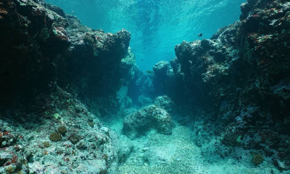Phantom Giants: Australia’s Invisible Guardians and the Dawn of Aquatic Surveillance