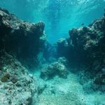 Phantom Giants: Australia’s Invisible Guardians and the Dawn of Aquatic Surveillance
