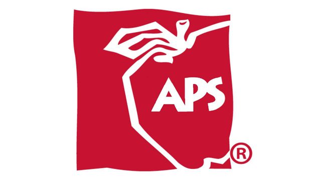 Albuquerque’s Bureaucratic Ballet: Public ‘Input’ on Handbook Draws Skepticism