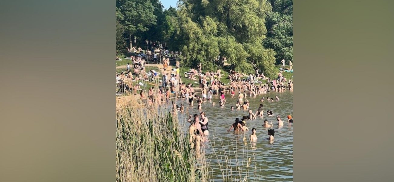 London’s Green Heart Strains: Hampstead Heath’s Pond Woes Ripple Wider