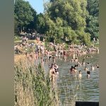 London’s Green Heart Strains: Hampstead Heath’s Pond Woes Ripple Wider