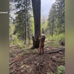 As Hummingbird Fire Hisses, A Glimpse into the West’s Arid Future