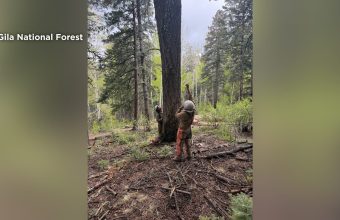 As Hummingbird Fire Hisses, A Glimpse into the West’s Arid Future