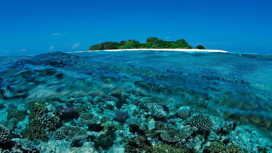 Maldives’ Sapphire Dreams Clouded by Deep-Sea Tragedy for Italian Divers