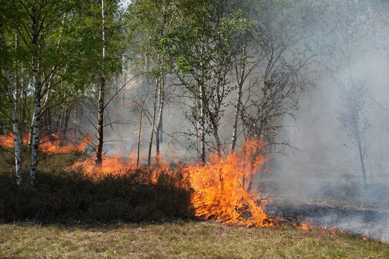 Europe’s Silent Surrender: German Wildfire Exposes Unexploded Legacy, Climate’s Cruel Hand