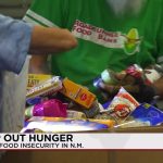 The Silent Hum of Hunger: How Mail Carriers Still Carry the Nation’s Conscience