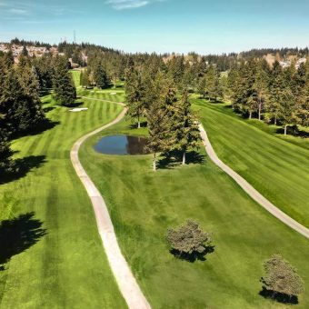 Tacoma’s Cedar Irons: A .5 Million Drive Towards Indigenous Economic Sovereignty