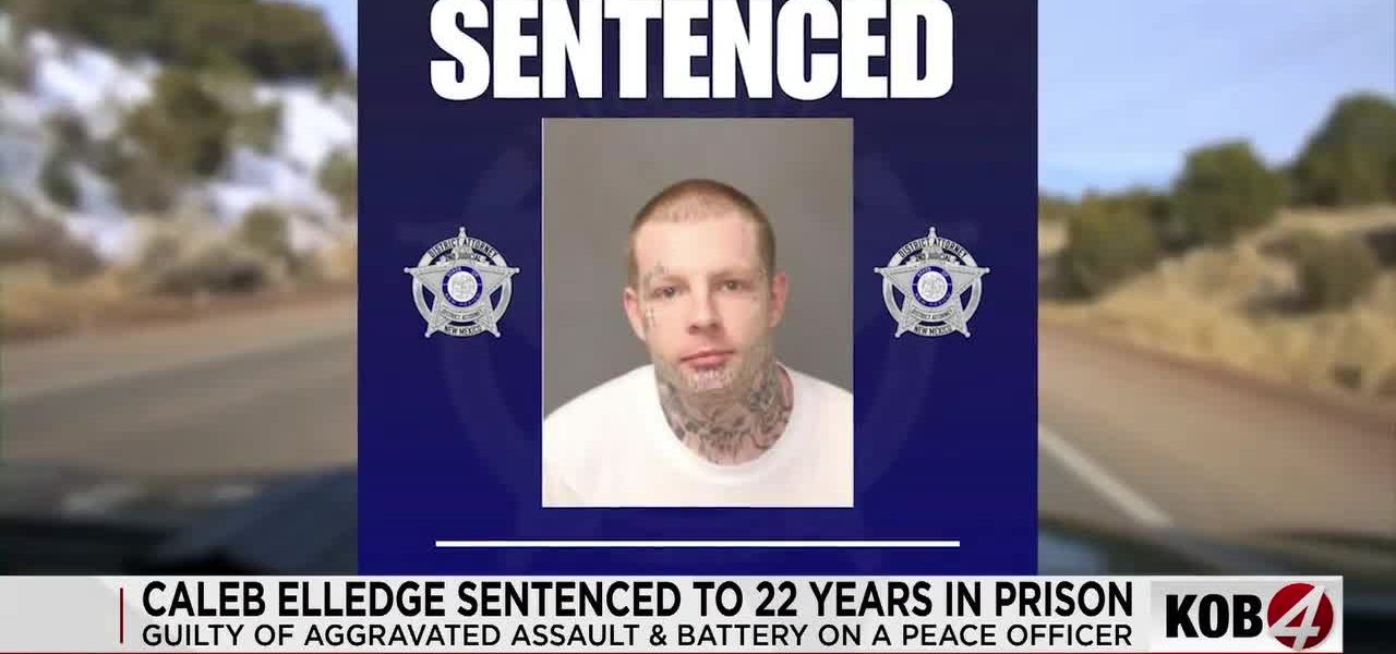 Beyond the Barbed Wire: Elledge Sentence A Stinging Indictment of Recidivism