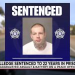 Beyond the Badge: New Mexico Sentence Highlights Strain on Policing and Justice System