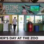 Marsupial Metaphors: Albuquerque’s BioPark Navigates Maternal Markets for Mother’s Day