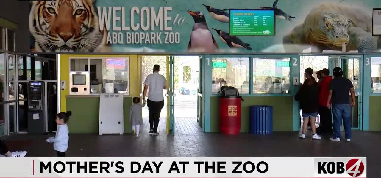 Motherhood & Mimosas: Albuquerque BioPark Balances Beasts and Brunch for Holiday Boost