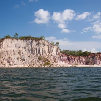 Parched Earth, Pyrrhic Victories: Brazil’s Small Farmers Eke Out a Win in Global Water Scramble