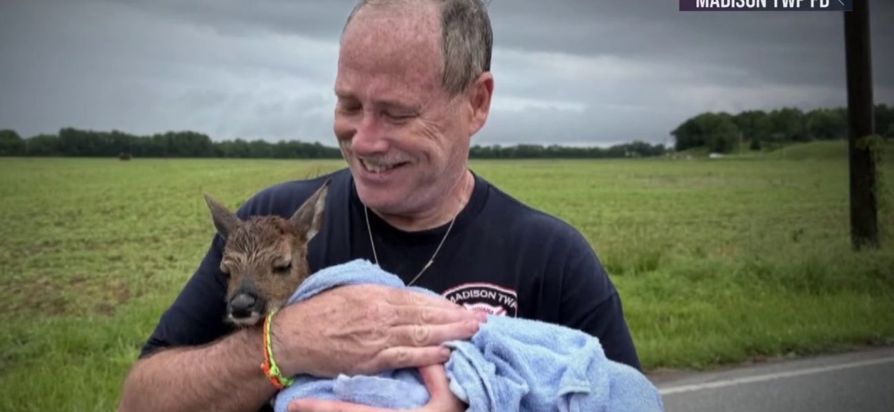 Hoosier Habitat at High Water Mark: A Deer’s Deluge and Dissenting Dialogues on Disaster Relief