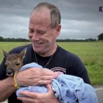 Hoosier Habitat at High Water Mark: A Deer’s Deluge and Dissenting Dialogues on Disaster Relief