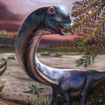 Thai Giant Unearthed: A Deep Dive into Paleontology, Politics, and ASEAN’s Ancient Pasts