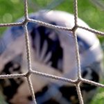 Utah Prep Soccer: The Brutal Logic of Elimination as Aspirations Collide