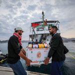 Deportations, Dog Whistles: Israel’s Hard Line Rattles Europe, Echoes East