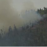 Silent Sacrifice in Capitan Mountains: When Rescuers Become Victims