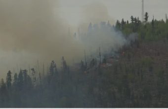 Silent Sacrifice in Capitan Mountains: When Rescuers Become Victims