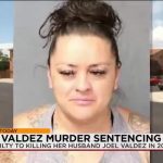 Fourth of July Fury: New Mexico Plea Deal Lifts Lid on Domestic Tragedy