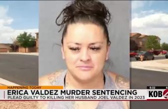 Fourth of July Fury: New Mexico Plea Deal Lifts Lid on Domestic Tragedy
