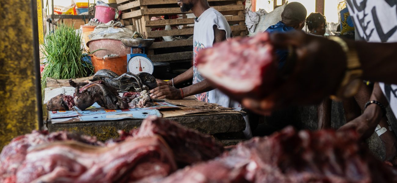 Silent Harbingers: Congo’s Ebola Outbreak Whispers a Global Warning