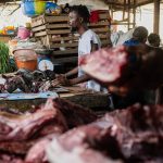 Silent Harbingers: Congo’s Ebola Outbreak Whispers a Global Warning Silent Harbingers: Congo’s Ebola Outbreak Whispers a Global Warning
