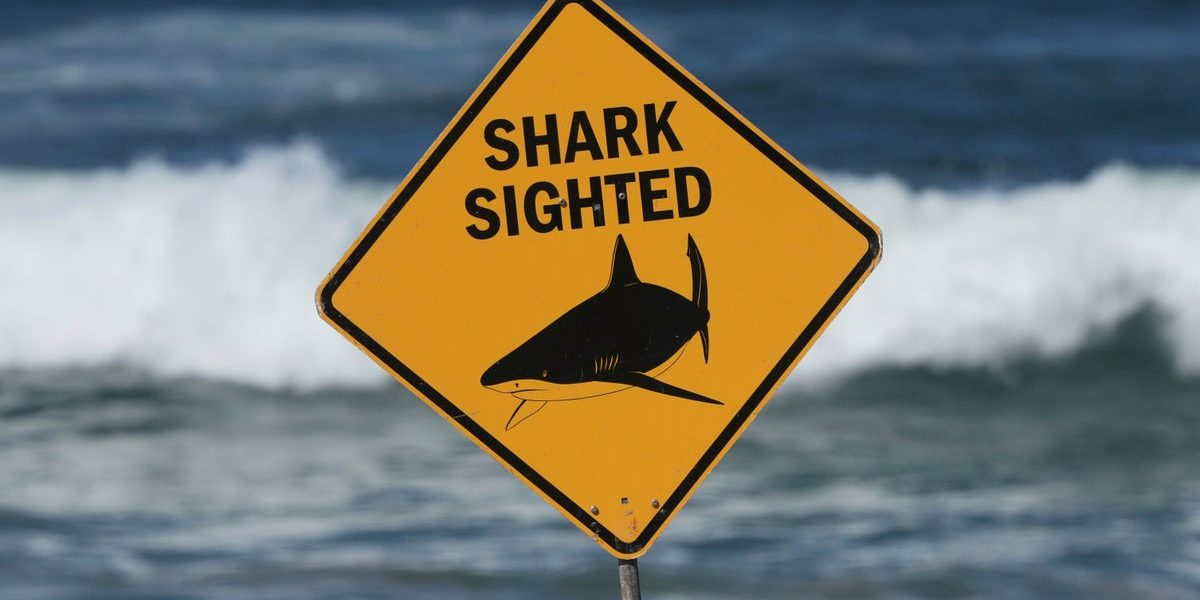 Paradise’s Peril: Repeat Fatalities Jolt Australia’s Tourist Heartland