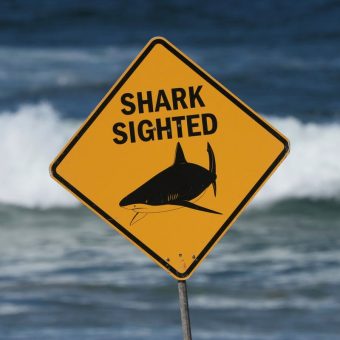 Paradise’s Peril: Repeat Fatalities Jolt Australia’s Tourist Heartland